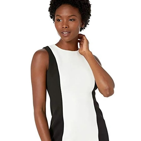 Calvin Klein Sleeveless Colour-block Sheath Dress - Picture 2 of 8